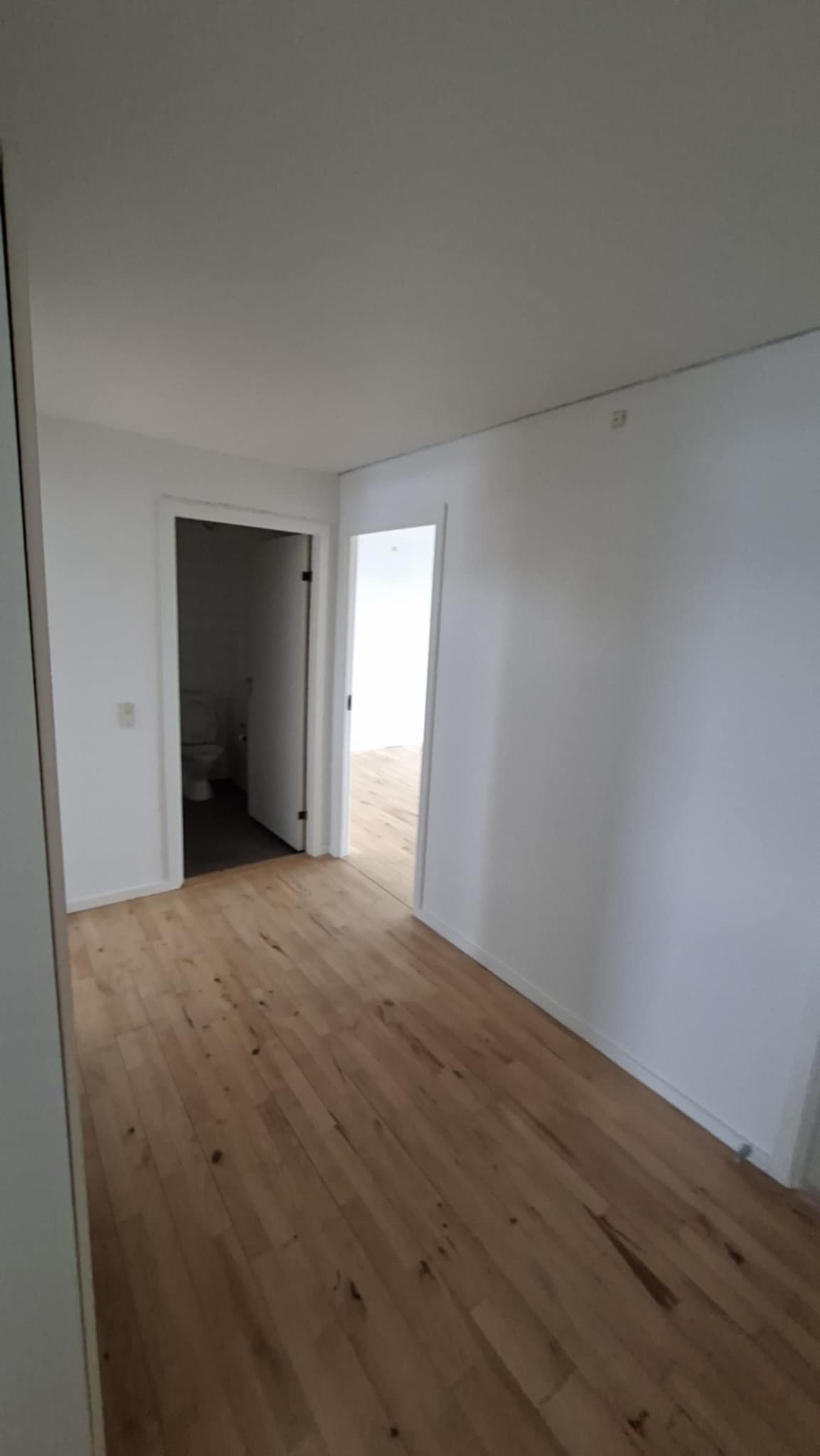 Erhvervsmaling af kontorer i Gentofte